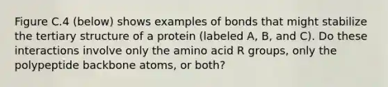 Figure C.4 (below) shows examples of bonds that might stabilize the tertiary structure of a protein (labeled A, B, and C). Do these interactions involve only the amino acid R groups, only the polypeptide backbone atoms, or both?