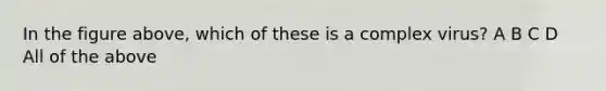 In the figure above, which of these is a complex virus? A B C D All of the above