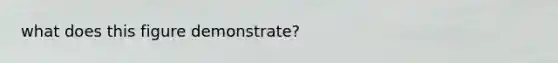 what does this figure demonstrate?
