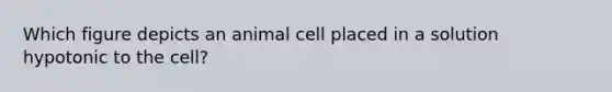 Which figure depicts an animal cell placed in a solution hypotonic to the cell?