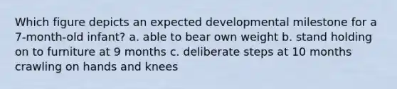 Which figure depicts an expected developmental milestone for a 7-month-old infant? a. able to bear own weight b. stand holding on to furniture at 9 months c. deliberate steps at 10 months crawling on hands and knees