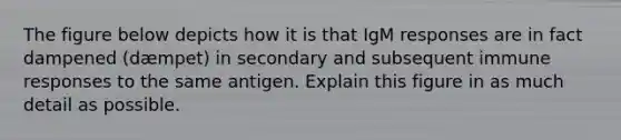 The figure below depicts how it is that IgM responses are in fact dampened (dæmpet) in secondary and subsequent immune responses to the same antigen. Explain this figure in as much detail as possible.
