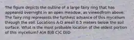 The figure depicts the outline of a large fairy ring that has appeared overnight in an open meadow, as viewedfrom above. The fairy ring represents the furthest advance of this mycelium through the soil. Locations A-D areall 0.5 meters below the soil surface. What is the most probable location of the oldest portion of this mycelium? A)A B)B C)C D)D