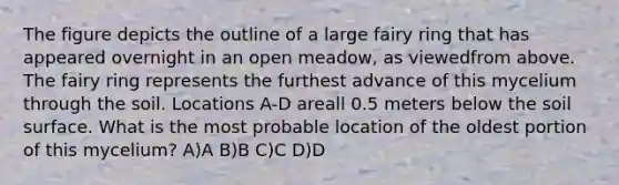 The figure depicts the outline of a large fairy ring that has appeared overnight in an open meadow, as viewedfrom above. The fairy ring represents the furthest advance of this mycelium through the soil. Locations A-D areall 0.5 meters below the soil surface. What is the most probable location of the oldest portion of this mycelium? A)A B)B C)C D)D