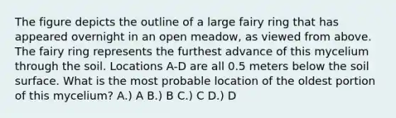 The figure depicts the outline of a large fairy ring that has appeared overnight in an open meadow, as viewed from above. The fairy ring represents the furthest advance of this mycelium through the soil. Locations A-D are all 0.5 meters below the soil surface. What is the most probable location of the oldest portion of this mycelium? A.) A B.) B C.) C D.) D