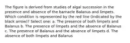 The figure is derived from studies of algal succession in the presence and absence of the barnacle Balanus and limpets. Which condition is represented by the red line (indicated by the black arrow)? Select one: a. The presence of both limpets and Balanus b. The presence of limpets and the absence of Balanus c. The presence of Balanus and the absence of limpets d. The absence of both limpets and Balanus