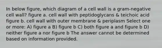 In below figure, which diagram of a cell wall is a gram-negative cell wall? figure a. cell wall with peptidoglycans & teichoic acid figure b. cell wall with outer membrane & periplasm Select one or more: A) figure a B) figure b C) both figure a and figure b D) neither figure a nor figure b The answer cannot be determined based on information provided.