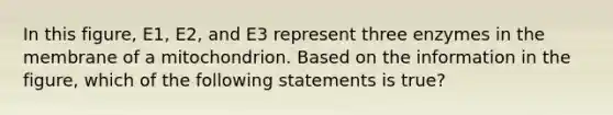 In this figure, E1, E2, and E3 represent three enzymes in the membrane of a mitochondrion. Based on the information in the figure, which of the following statements is true?