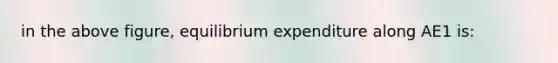 in the above figure, equilibrium expenditure along AE1 is: