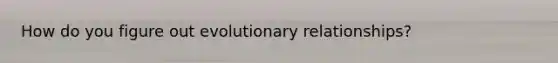 How do you figure out evolutionary relationships?