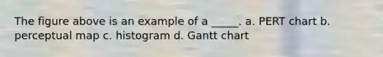 The figure above is an example of a _____. a. PERT chart b. perceptual map c. histogram d. Gantt chart