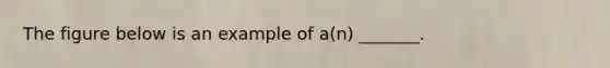 The figure below is an example of a(n) _______.