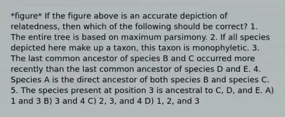 *figure* If the figure above is an accurate depiction of relatedness, then which of the following should be correct? 1. The entire tree is based on maximum parsimony. 2. If all species depicted here make up a taxon, this taxon is monophyletic. 3. The last common ancestor of species B and C occurred more recently than the last common ancestor of species D and E. 4. Species A is the direct ancestor of both species B and species C. 5. The species present at position 3 is ancestral to C, D, and E. A) 1 and 3 B) 3 and 4 C) 2, 3, and 4 D) 1, 2, and 3