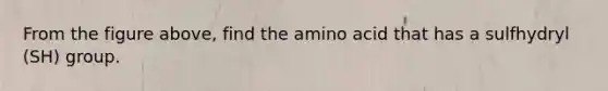 From the figure above, find the amino acid that has a sulfhydryl (SH) group.