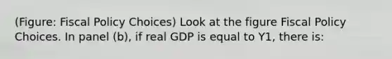 (Figure: <a href='https://www.questionai.com/knowledge/kPTgdbKdvz-fiscal-policy' class='anchor-knowledge'>fiscal policy</a> Choices) Look at the figure Fiscal Policy Choices. In panel (b), if real GDP is equal to Y1, there is: