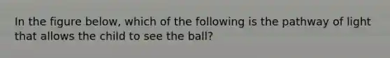 In the figure below, which of the following is the pathway of light that allows the child to see the ball?