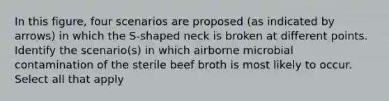 In this figure, four scenarios are proposed (as indicated by arrows) in which the S-shaped neck is broken at different points. Identify the scenario(s) in which airborne microbial contamination of the sterile beef broth is most likely to occur. Select all that apply