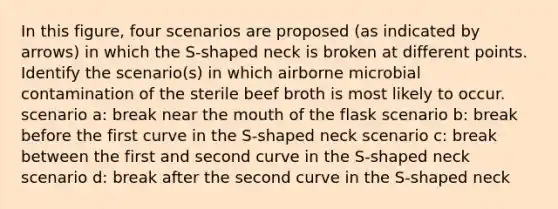 In this figure, four scenarios are proposed (as indicated by arrows) in which the S-shaped neck is broken at different points. Identify the scenario(s) in which airborne microbial contamination of the sterile beef broth is most likely to occur. scenario a: break near the mouth of the flask scenario b: break before the first curve in the S-shaped neck scenario c: break between the first and second curve in the S-shaped neck scenario d: break after the second curve in the S-shaped neck