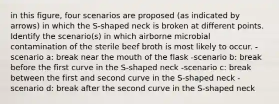 in this figure, four scenarios are proposed (as indicated by arrows) in which the S-shaped neck is broken at different points. Identify the scenario(s) in which airborne microbial contamination of the sterile beef broth is most likely to occur. -scenario a: break near the mouth of the flask -scenario b: break before the first curve in the S-shaped neck -scenario c: break between the first and second curve in the S-shaped neck -scenario d: break after the second curve in the S-shaped neck