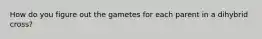 How do you figure out the gametes for each parent in a dihybrid cross?