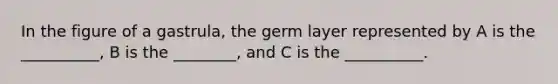 In the figure of a gastrula, the germ layer represented by A is the __________, B is the ________, and C is the __________.