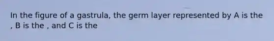 In the figure of a gastrula, the germ layer represented by A is the , B is the , and C is the