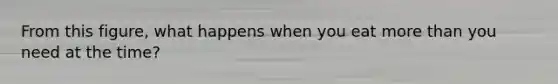 From this figure, what happens when you eat more than you need at the time?