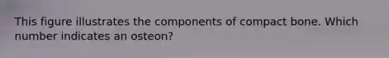 This figure illustrates the components of compact bone. Which number indicates an osteon?