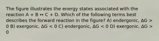 The figure illustrates the energy states associated with the reaction A + B ↔ C + D. Which of the following terms best describes the forward reaction in the figure? A) endergonic, ∆G > 0 B) exergonic, ∆G 0