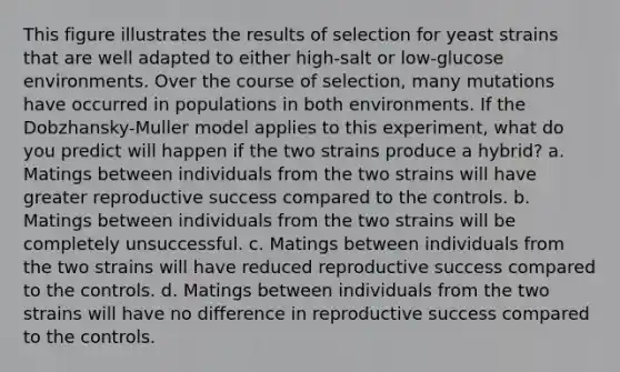 This figure illustrates the results of selection for yeast strains that are well adapted to either high-salt or low-glucose environments. Over the course of selection, many mutations have occurred in populations in both environments. If the Dobzhansky-Muller model applies to this experiment, what do you predict will happen if the two strains produce a hybrid? a. Matings between individuals from the two strains will have greater reproductive success compared to the controls. b. Matings between individuals from the two strains will be completely unsuccessful. c. Matings between individuals from the two strains will have reduced reproductive success compared to the controls. d. Matings between individuals from the two strains will have no difference in reproductive success compared to the controls.