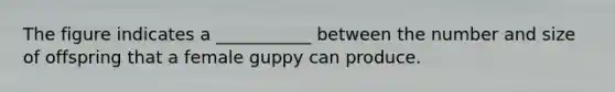 The figure indicates a ___________ between the number and size of offspring that a female guppy can produce.