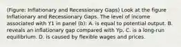 (Figure: Inflationary and Recessionary Gaps) Look at the figure Inflationary and Recessionary Gaps. The level of income associated with Y1 in panel (b): A. is equal to potential output. B. reveals an inflationary gap compared with Yp. C. is a long-run equilibrium. D. is caused by flexible wages and prices.