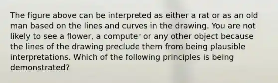 The figure above can be interpreted as either a rat or as an old man based on the lines and curves in the drawing. You are not likely to see a flower, a computer or any other object because the lines of the drawing preclude them from being plausible interpretations. Which of the following principles is being demonstrated?