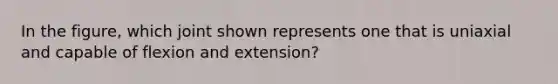 In the figure, which joint shown represents one that is uniaxial and capable of flexion and extension?