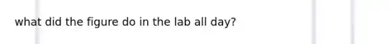 what did the figure do in the lab all day?