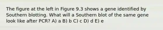 The figure at the left in Figure 9.3 shows a gene identified by <a href='https://www.questionai.com/knowledge/kXzzHipoNM-southern-blotting' class='anchor-knowledge'>southern blotting</a>. What will a Southern blot of the same gene look like after PCR? A) a B) b C) c D) d E) e