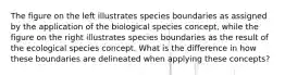 The figure on the left illustrates species boundaries as assigned by the application of the biological species concept, while the figure on the right illustrates species boundaries as the result of the ecological species concept. What is the difference in how these boundaries are delineated when applying these concepts?