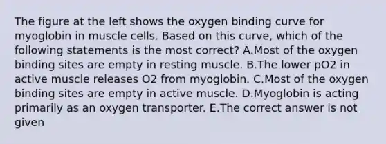 The figure at the left shows the oxygen binding curve for myoglobin in muscle cells. Based on this curve, which of the following statements is the most correct? A.Most of the oxygen binding sites are empty in resting muscle. B.The lower pO2 in active muscle releases O2 from myoglobin. C.Most of the oxygen binding sites are empty in active muscle. D.Myoglobin is acting primarily as an oxygen transporter. E.The correct answer is not given