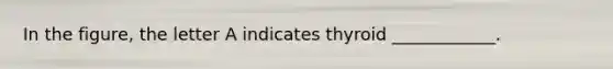 In the figure, the letter A indicates thyroid ____________.