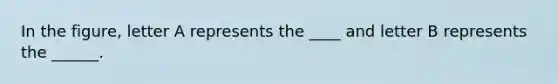 In the figure, letter A represents the ____ and letter B represents the ______.