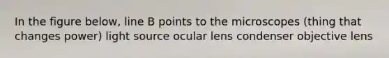 In the figure below, line B points to the microscopes (thing that changes power) light source ocular lens condenser objective lens