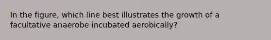 In the figure, which line best illustrates the growth of a facultative anaerobe incubated aerobically?