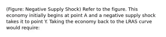 (Figure: Negative Supply Shock) Refer to the figure. This economy initially begins at point A and a negative supply shock takes it to point Y. Taking the economy back to the LRAS curve would require: