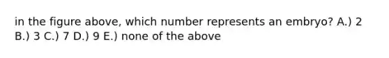 in the figure above, which number represents an embryo? A.) 2 B.) 3 C.) 7 D.) 9 E.) none of the above