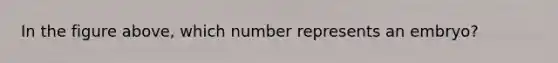 In the figure above, which number represents an embryo?