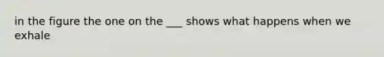 in the figure the one on the ___ shows what happens when we exhale