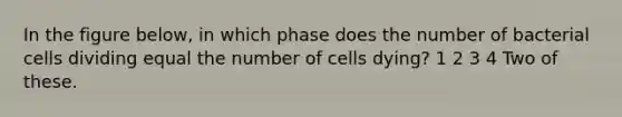 In the figure below, in which phase does the number of bacterial cells dividing equal the number of cells dying? 1 2 3 4 Two of these.