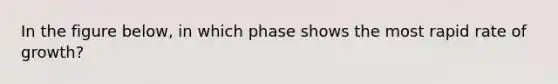 In the figure below, in which phase shows the most rapid rate of growth?