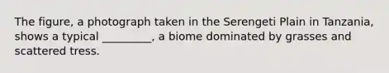 The figure, a photograph taken in the Serengeti Plain in Tanzania, shows a typical _________, a biome dominated by grasses and scattered tress.