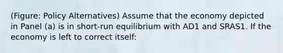 (Figure: Policy Alternatives) Assume that the economy depicted in Panel (a) is in short-run equilibrium with AD1 and SRAS1. If the economy is left to correct itself: